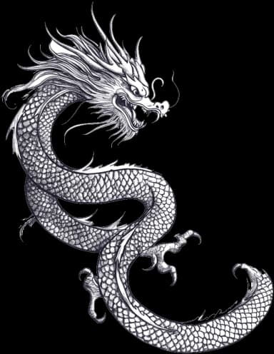 Chinese Dragon
