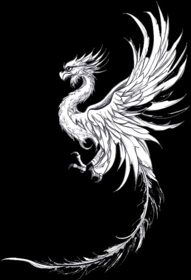 Chinese Phoenix